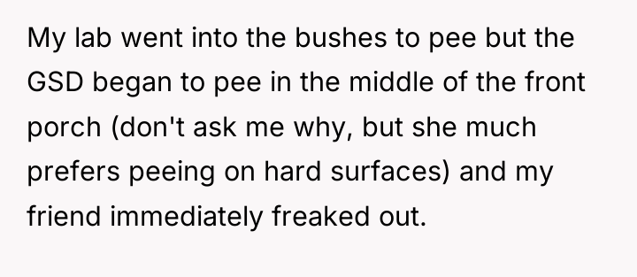 My lab went into the bushes to pee but the...