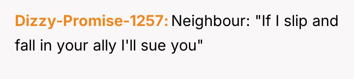 Dizzy-Promise-1257 Neighbour: "If I slip and fall in your ally...