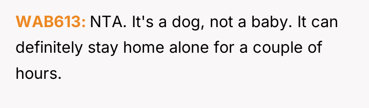 WAB613 NTA. It's a dog, not a baby. It can...