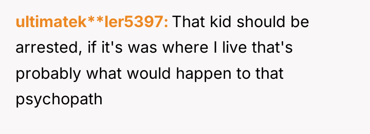 ultimatek**ler5397 That kid should be arrested, if it's was where...