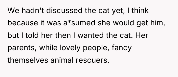 We hadn't discussed the cat yet, I think because it...