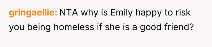 gringaellie NTA why is Emily happy to risk you being...
