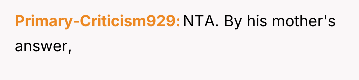 Primary-Criticism929 NTA. By his mother's answer,