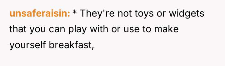 unsaferaisin * They're not toys or widgets that you can...
