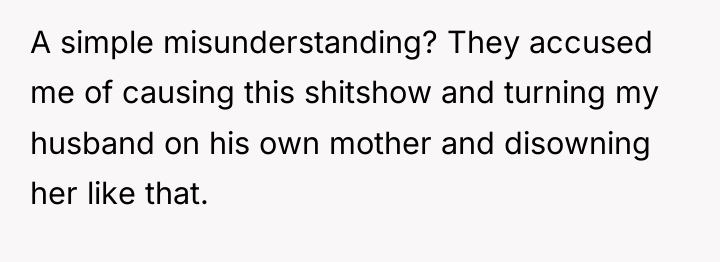A simple misunderstanding? They accused me of causing this shitshow...
