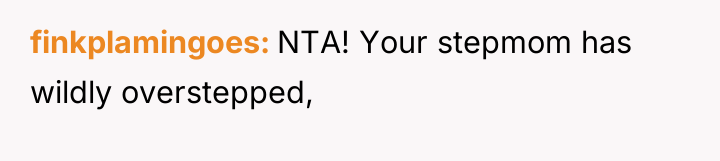 finkplamingoes NTA! Your stepmom has wildly overstepped,