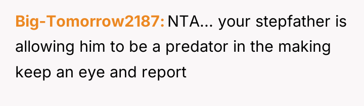 Big-Tomorrow2187 NTA... your stepfather is allowing him to be a...