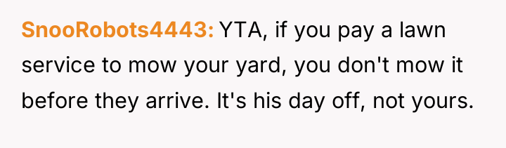 SnooRobots4443 YTA, if you pay a lawn service to mow...