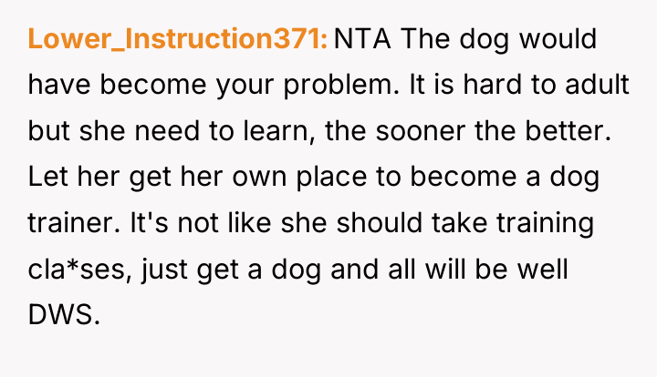 Lower_Instruction371 NTA The dog would have become your problem. It...