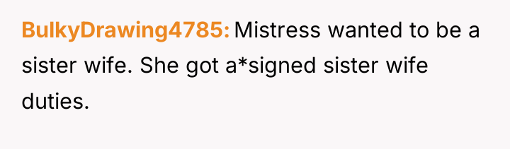BulkyDrawing4785 Mistress wanted to be a sister wife. She got...