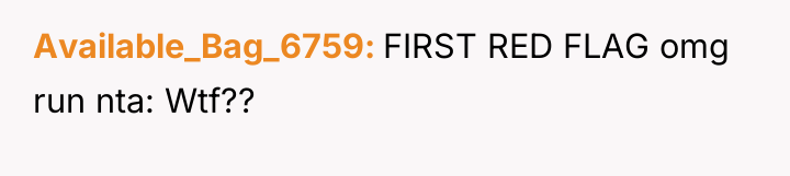 Available_Bag_6759 FIRST RED FLAG omg run nta: Wtf??