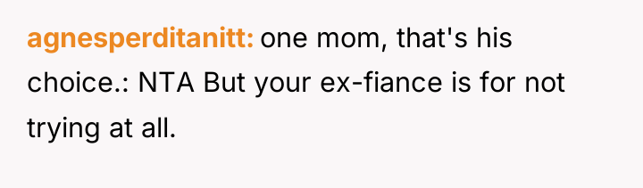 agnesperditanitt one mom, that's his choice.: NTA But your ex-fiance...