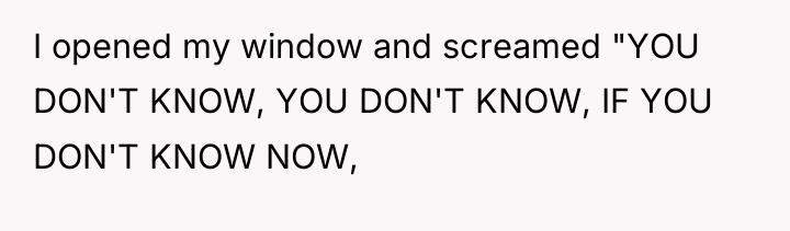 I opened my window and screamed "YOU DON'T KNOW, YOU...
