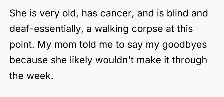 She is very old, has cancer, and is blind and...
