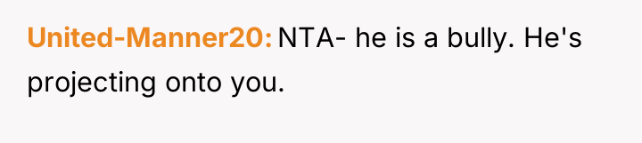 United-Manner20 NTA- he is a bully. He's projecting onto you.