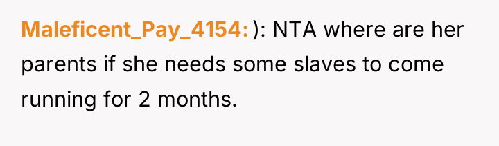 Maleficent_Pay_4154 ): NTA where are her parents if she needs...