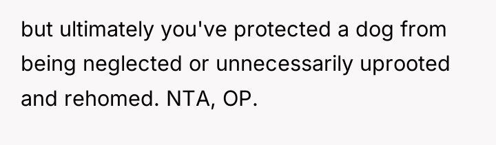 but ultimately you've protected a dog from being neglected or...