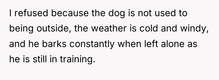 I refused because the dog is not used to being...