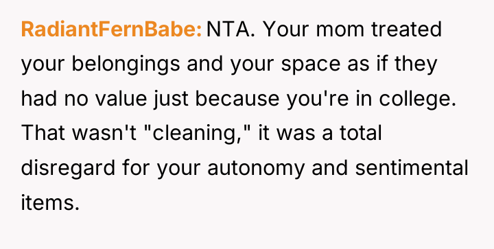 RadiantFernBabe NTA. Your mom treated your belongings and your space...