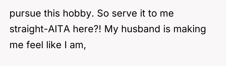 pursue this hobby. So serve it to me straight-AITA here?!...