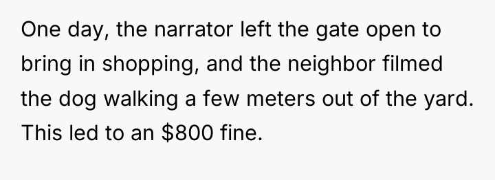 One day, the narrator left the gate open to bring...