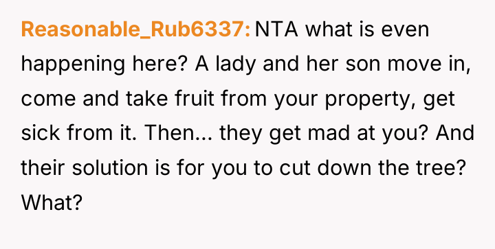 Reasonable_Rub6337 NTA what is even happening here? A lady and...