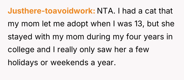 Justhere-toavoidwork NTA. I had a cat that my mom let...