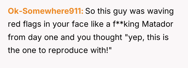 Ok-Somewhere911 So this guy was waving red flags in your...