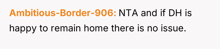 Ambitious-Border-906 NTA and if DH is happy to remain home...