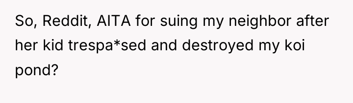 So, Reddit, AITA for suing my neighbor after her kid...