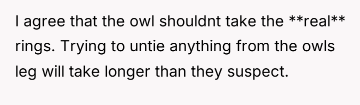 I agree that the owl shouldnt take the **real** rings....