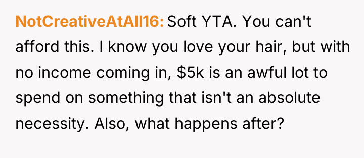 NotCreativeAtAll16 Soft YTA. You can't afford this. I know you...