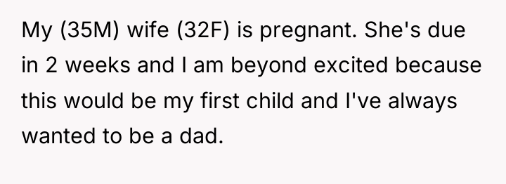 My (35M) wife (32F) is pregnant. She's due in 2...