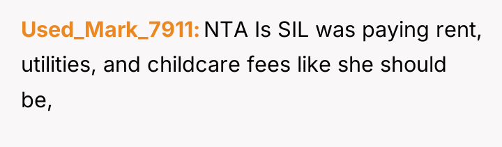 Used_Mark_7911 NTA Is SIL was paying rent, utilities, and childcare...
