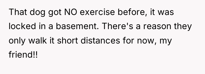 That dog got NO exercise before, it was locked in...