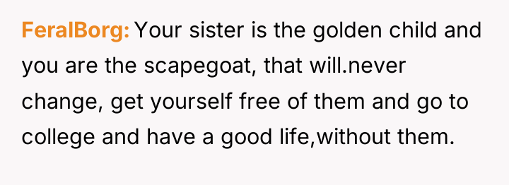 FeralBorg Your sister is the golden child and you are...