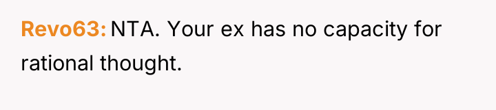 Revo63 NTA. Your ex has no capacity for rational thought.