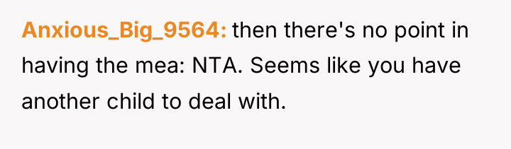 Anxious_Big_9564 then there's no point in having the mea: NTA....