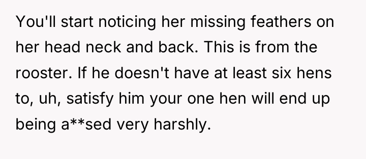 You'll start noticing her missing feathers on her head neck...