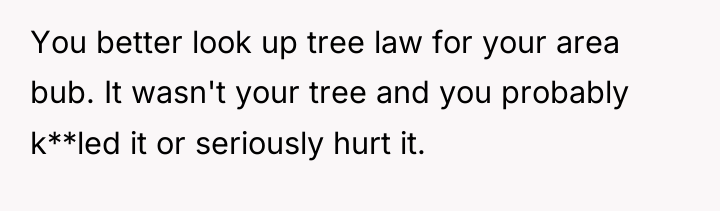You better look up tree law for your area bub....
