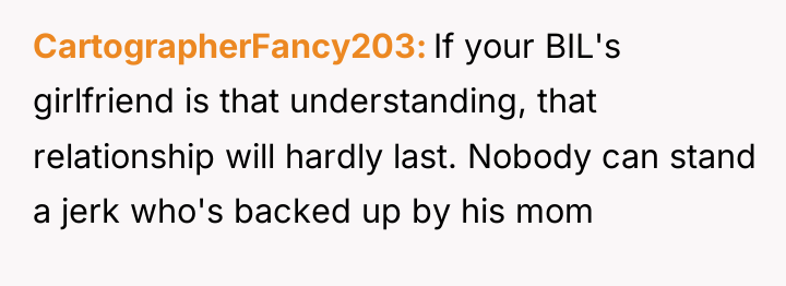 CartographerFancy203 If your BIL's girlfriend is that understanding, that relationship...