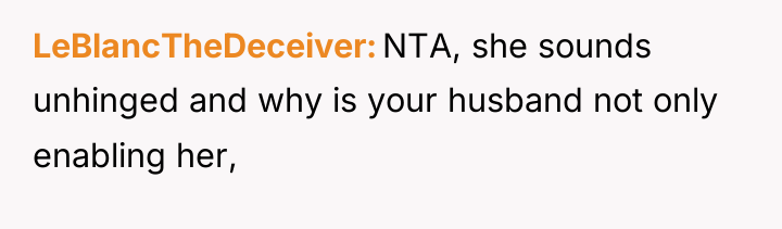 LeBlancTheDeceiver NTA, she sounds unhinged and why is your husband...
