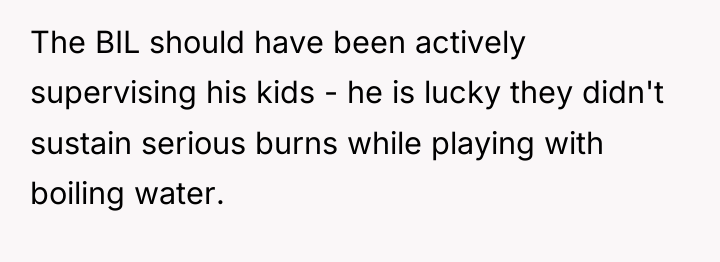The BIL should have been actively supervising his kids -...