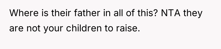 Where is their father in all of this? NTA they...