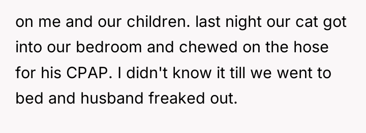 on me and our children. last night our cat got...
