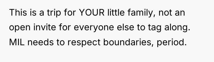 This is a trip for YOUR little family, not an...