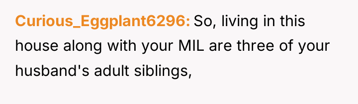 Curious_Eggplant6296 So, living in this house along with your MIL...