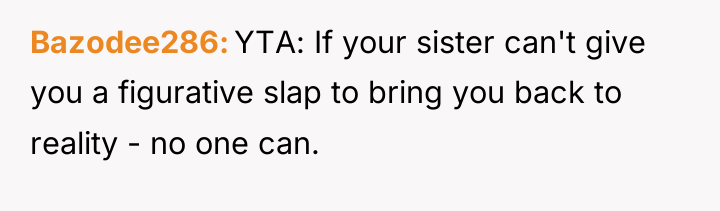 Bazodee286 YTA: If your sister can't give you a figurative...