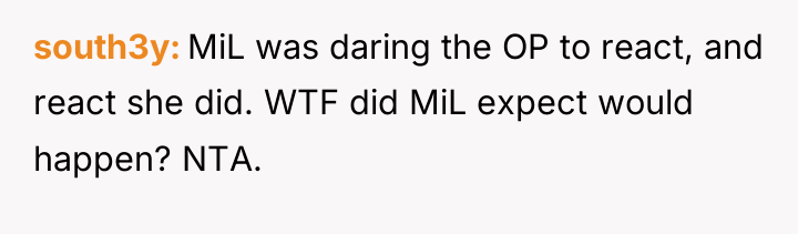 south3y MiL was daring the OP to react, and react...
