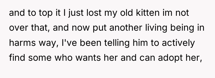 and to top it I just lost my old kitten...